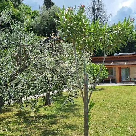 House - Private Oasis - Beachfront With A Sea View Terrace *