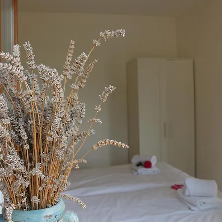 Beachfront Oasis Fiesa - 20m To Sea, Terrace & Parking Apartament