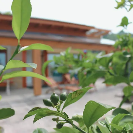 House - Private Oasis - Beachfront With A Sea View Terrace דירה *