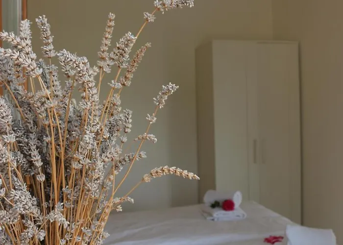 House - Private Oasis - Beachfront With A Sea View Terrace Apartment