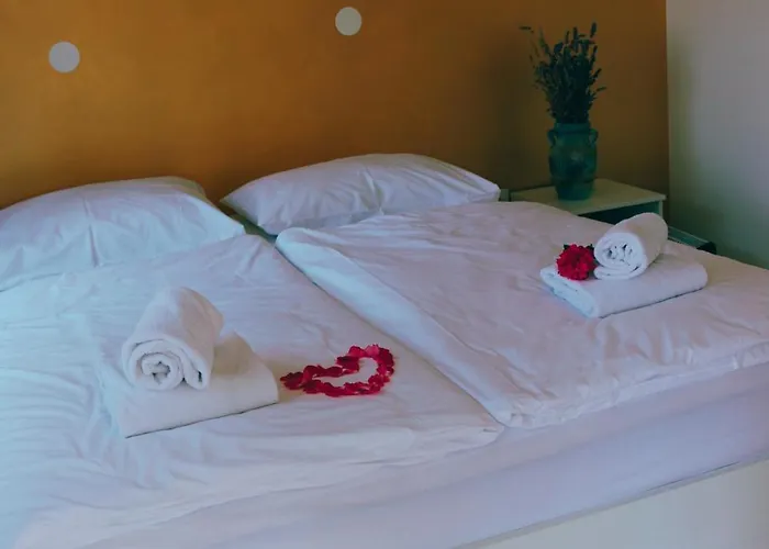 House - Private Oasis - Beachfront With A Sea View Terrace *