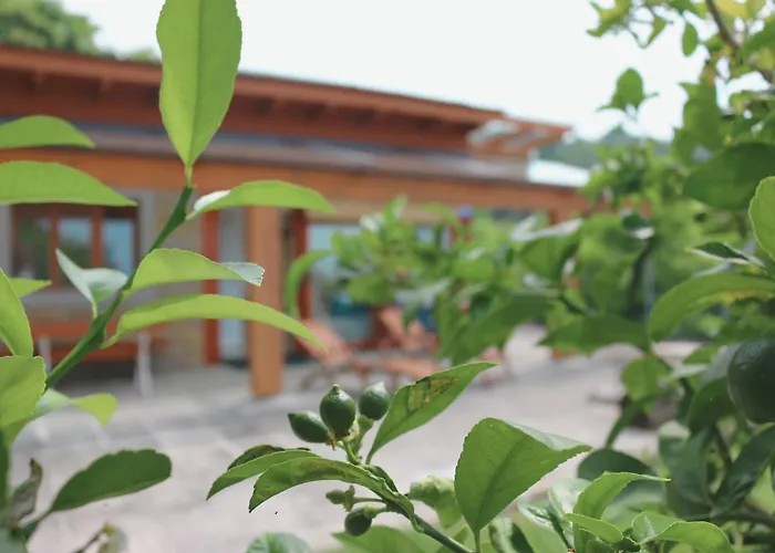 House - Private Oasis - Beachfront With A Sea View Terrace 公寓 *